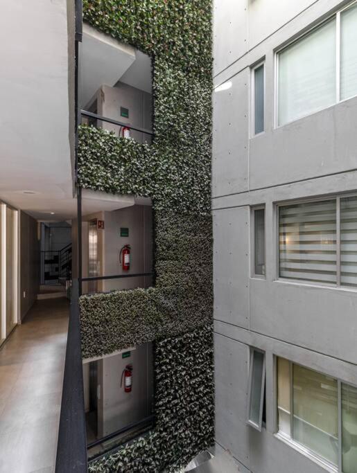 ¡Hermoso Departamento En El Corazon De Roma Norte! Apartment Mexico City Exterior photo